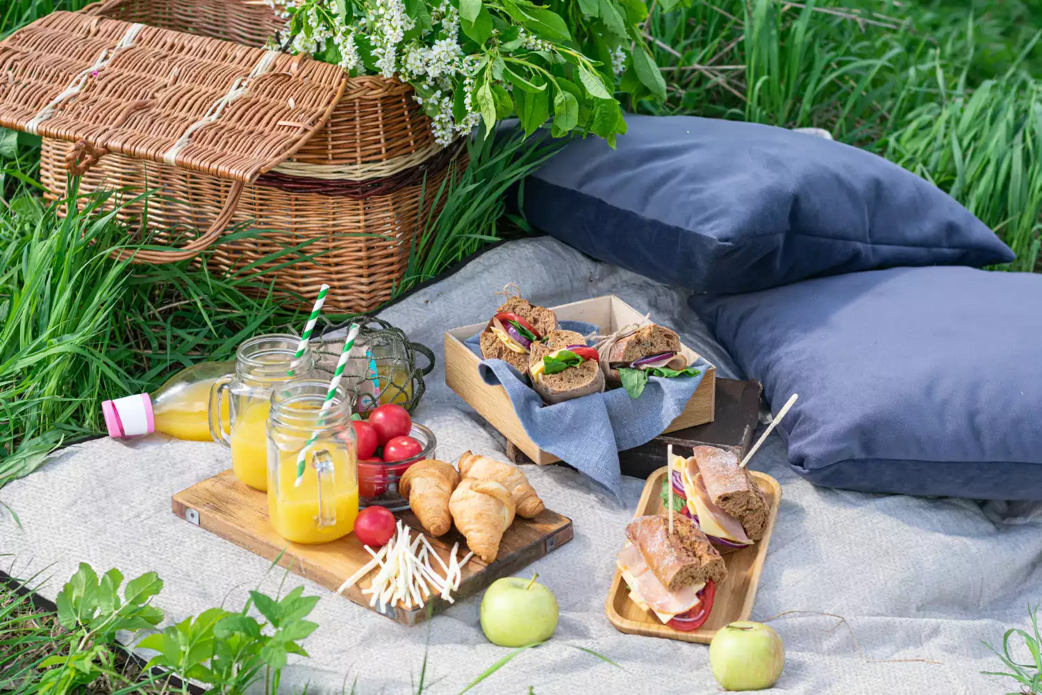 picnic blanket travel