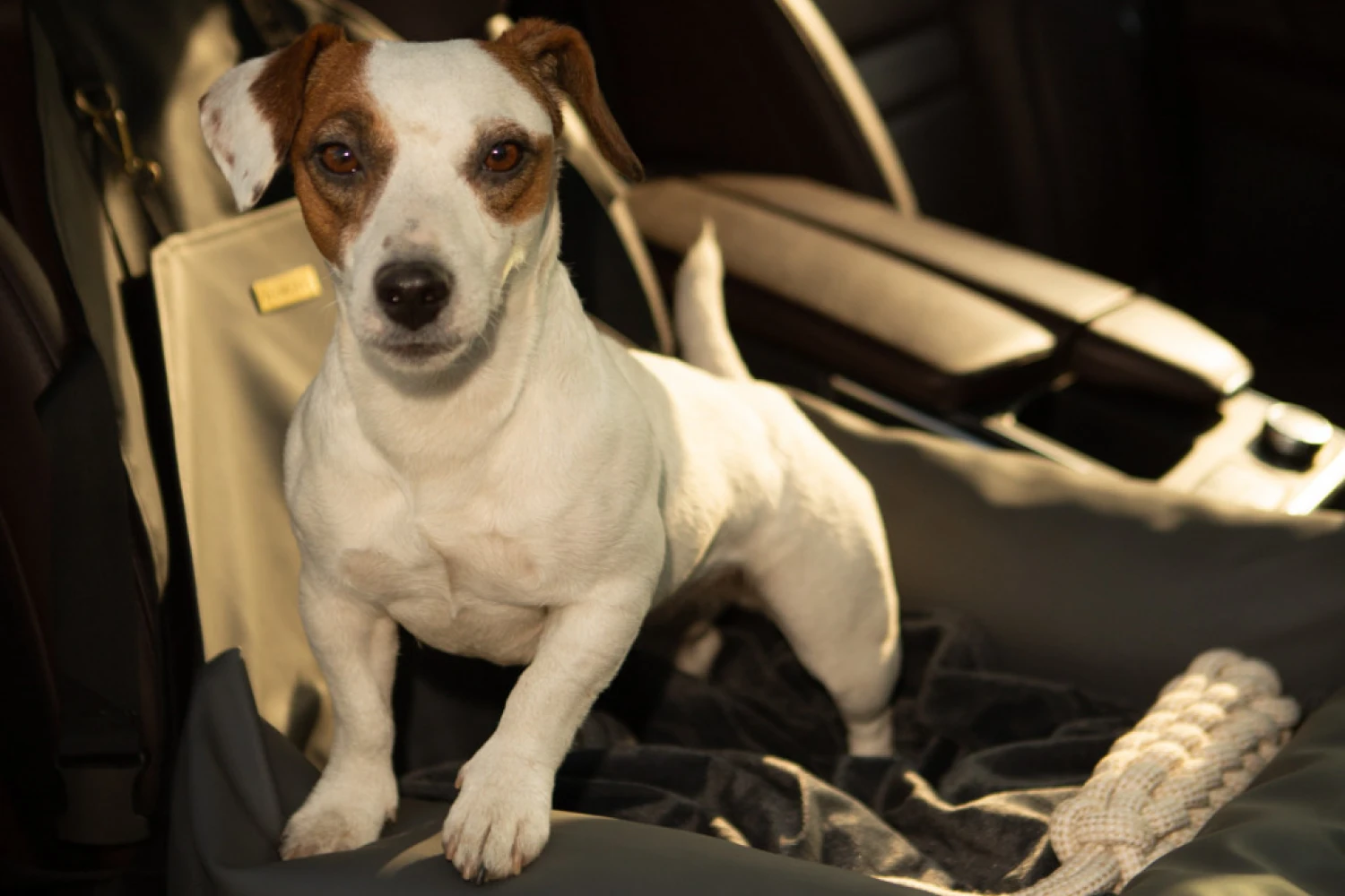 Chevrolet Suburban Dog Car Seat for Russell Terriers