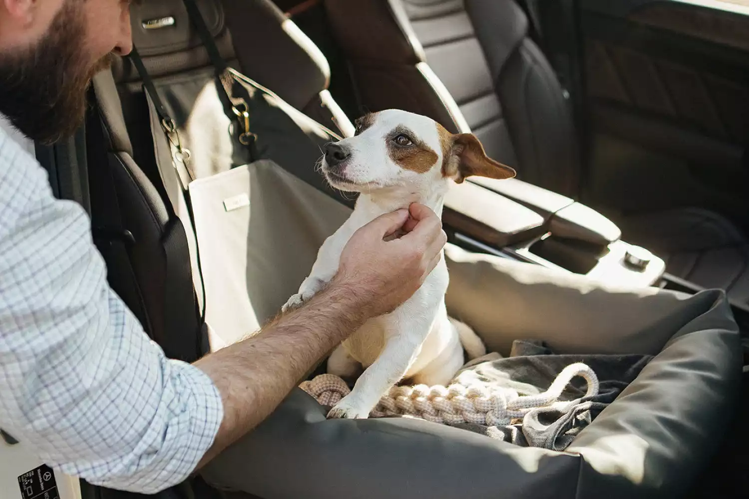 Chevrolet Suburban Dog Car Seat for Russell Terriers