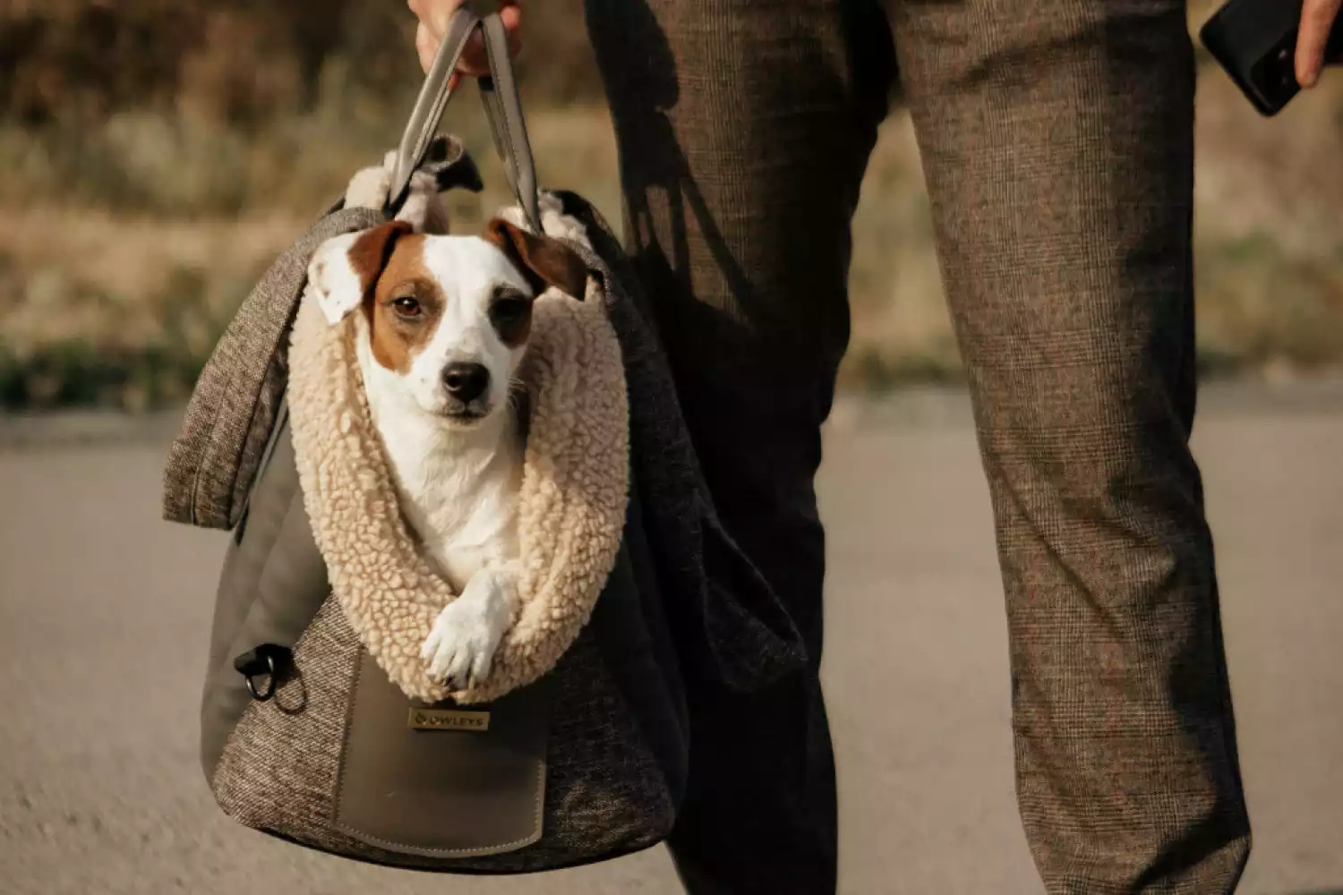 Dog Carrier Purse for Toy Tzu