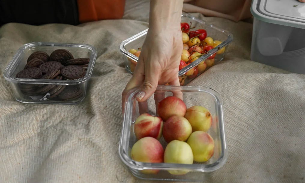 picnic blanket travel