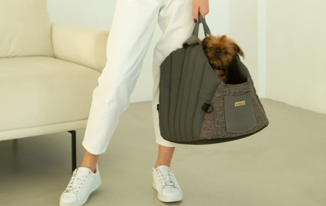 Dog Carrier Purse for Skye Terrier