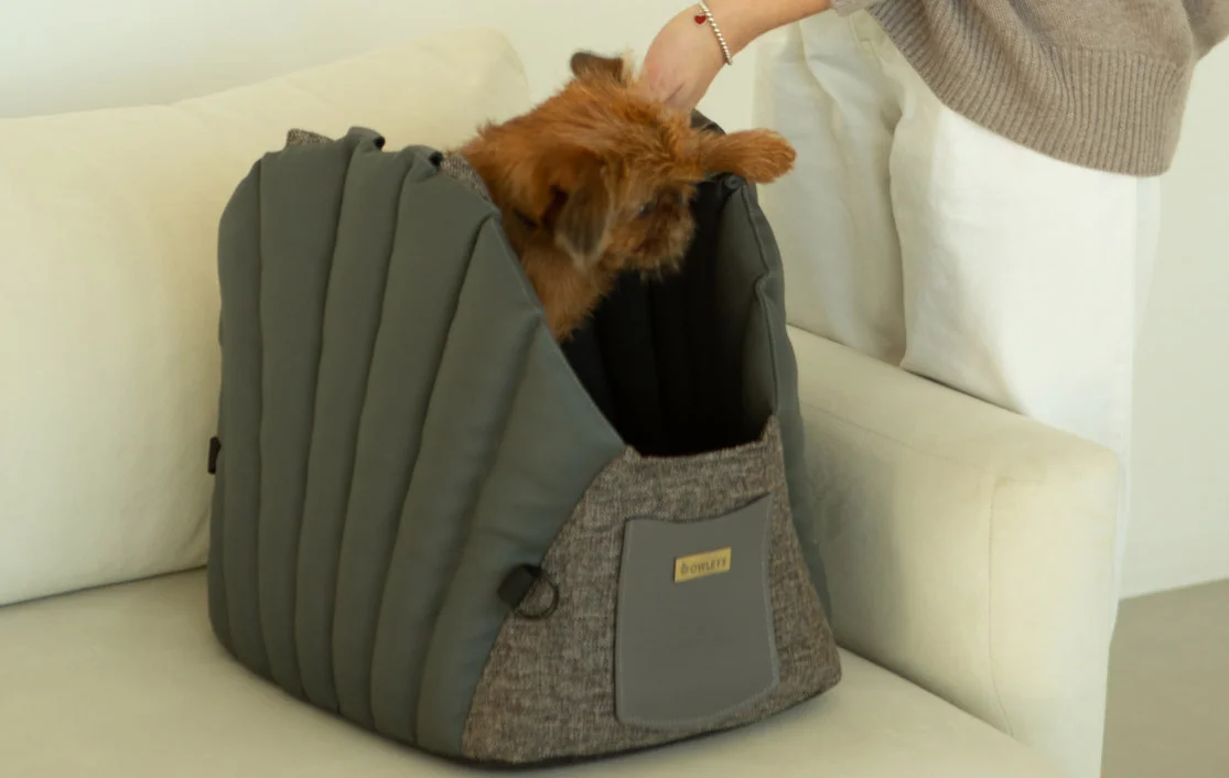 Audi A4 Dog Carrier Car Seat for Cavalier King Charles Spaniel