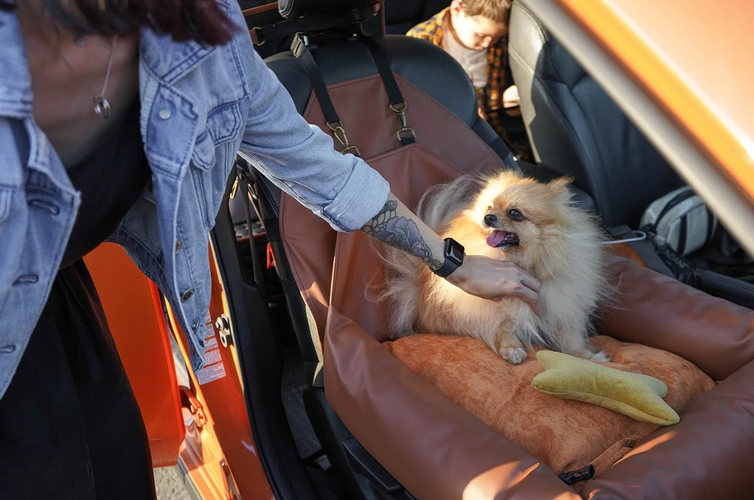 Ford Edge Dog Car Seat for English Toy Spaniels